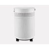 Load image into Gallery viewer, Airpura C700 DLX - Air Purifier for Chemicals and Gas Abatement Plus in cream, side view