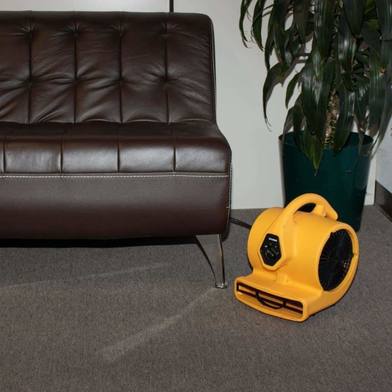 XPOWER P-130A Compact Air Mover with Daisy Chain - Living Room Usage