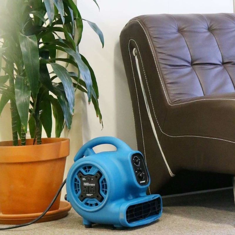 XPOWER P-230AT 1/4 HP Mini Air Mover - Blue Living Room Usage