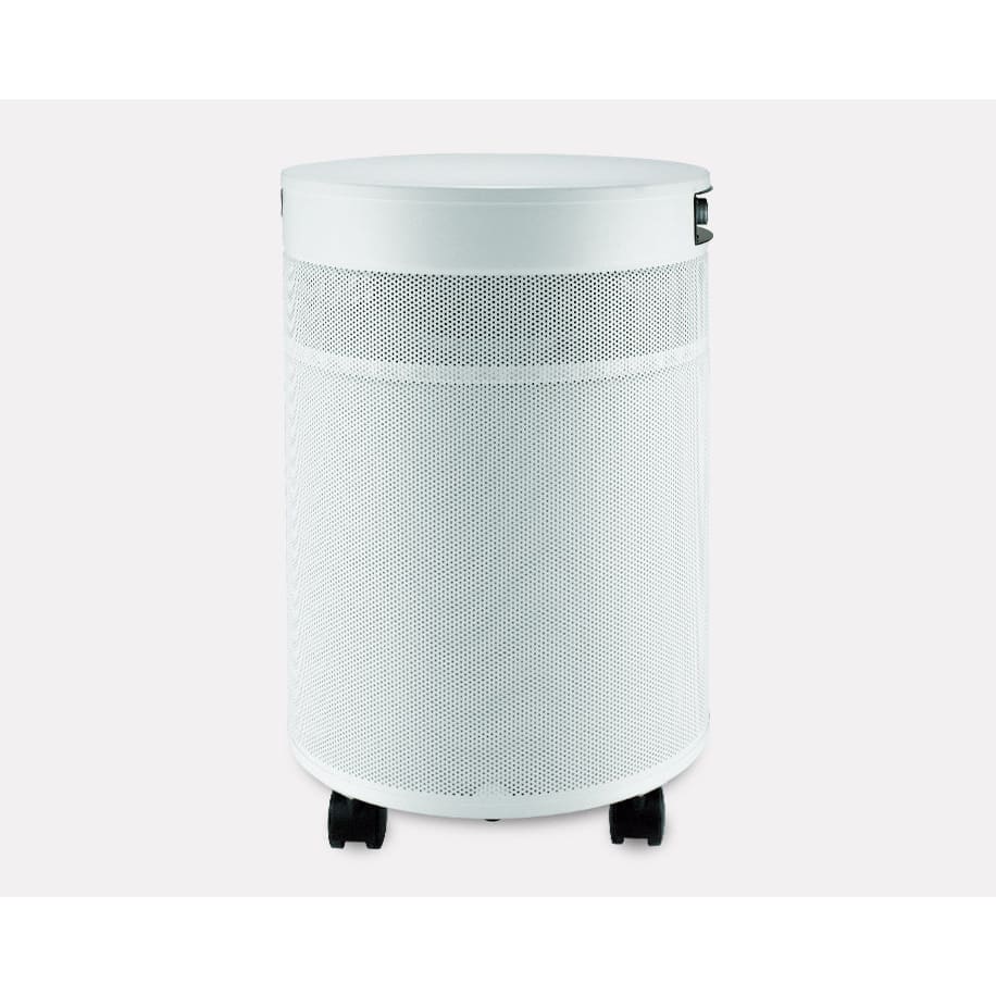 Airpura G700 DLX - An Odor-Free Air Purifier for the