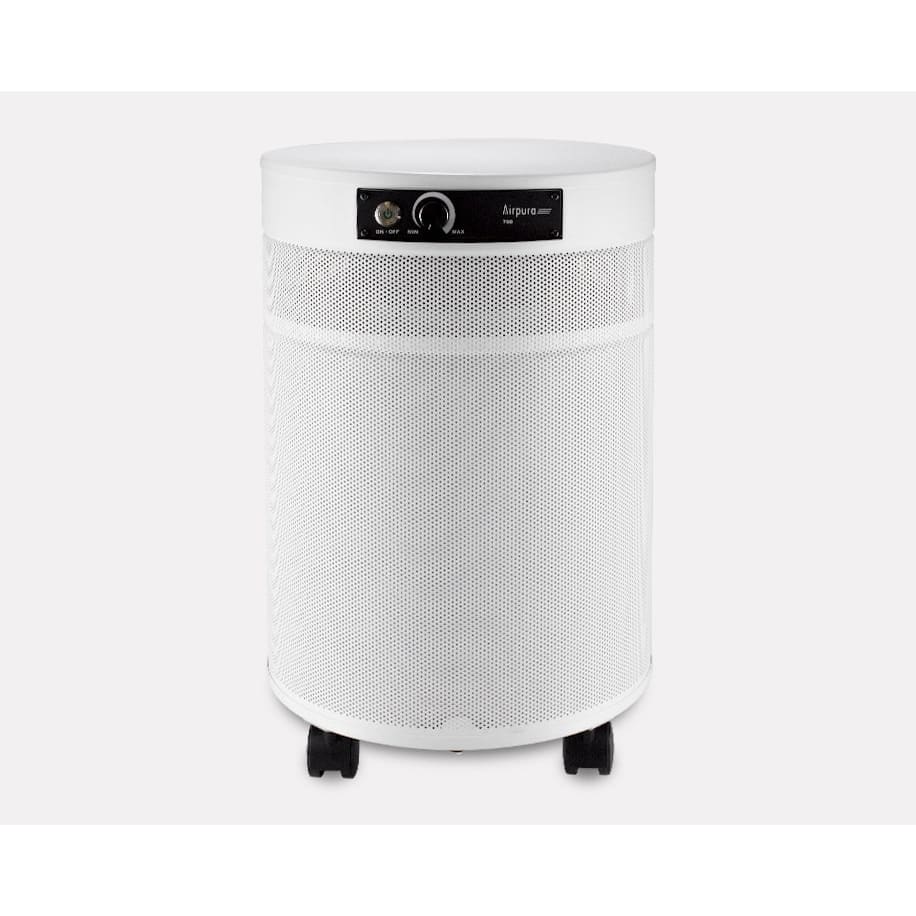 Airpura P700+ - Air Purifier for Germs Mold and Chemicals