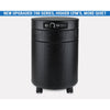 Load image into Gallery viewer, Airpura P700+ - Air Purifier for Germs Mold and Chemicals
