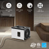 Compact Design AlorAir Sentinel HD35P 70-Pint Home Dehumidifier with Up To 1,000 Sq. Ft.
