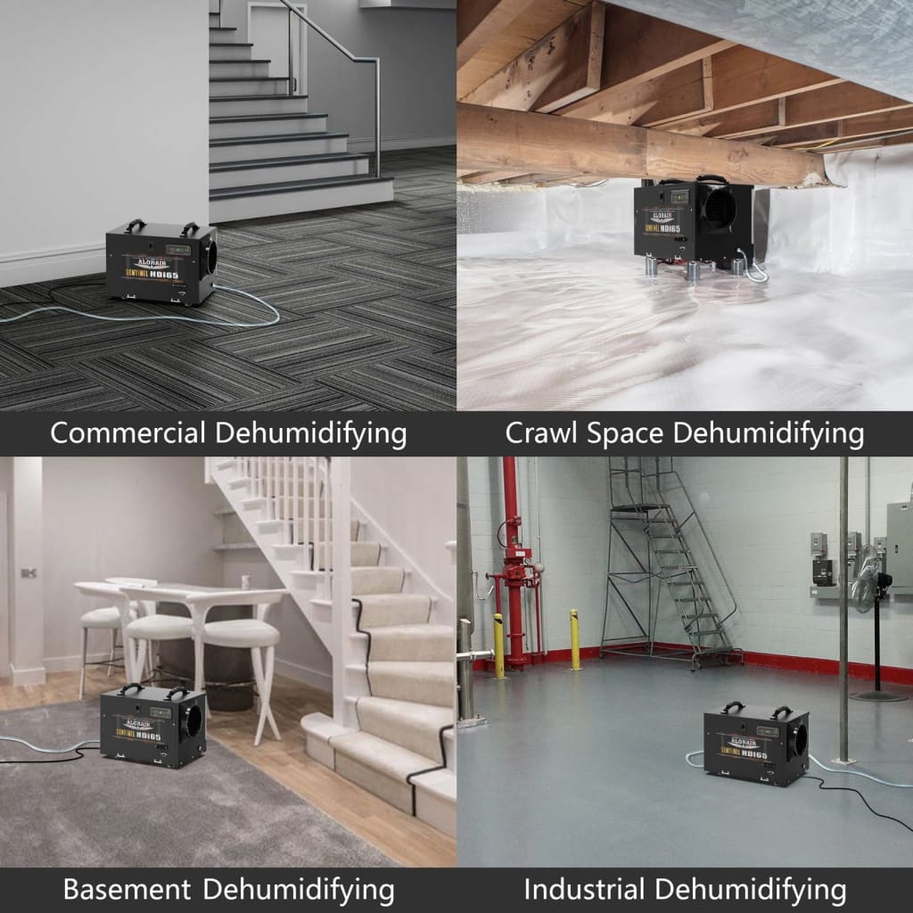 Possible applications for the AlorAir Sentinel HDi65 120 PPD Commercial Basement Dehumidifier